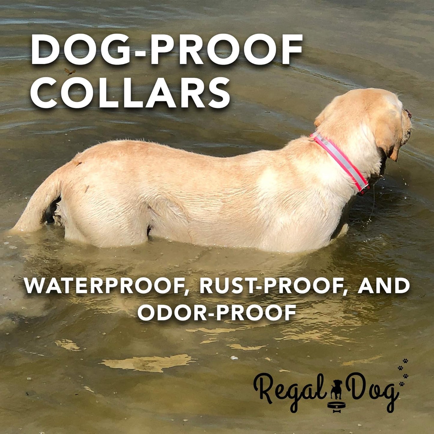 Regal Dog Products Reflective Waterproof Hunting Dog Collar with Heavy Duty Black Hardware Center Ring and Buckle