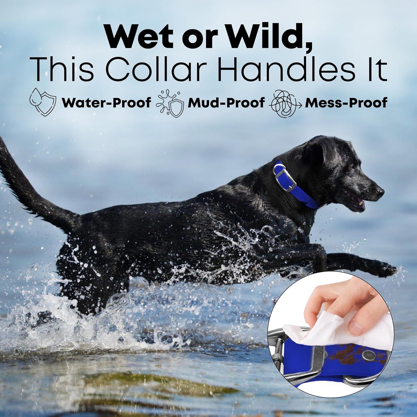 Regal Dog Products Waterproof Standard Dog Collar with Black Hardware