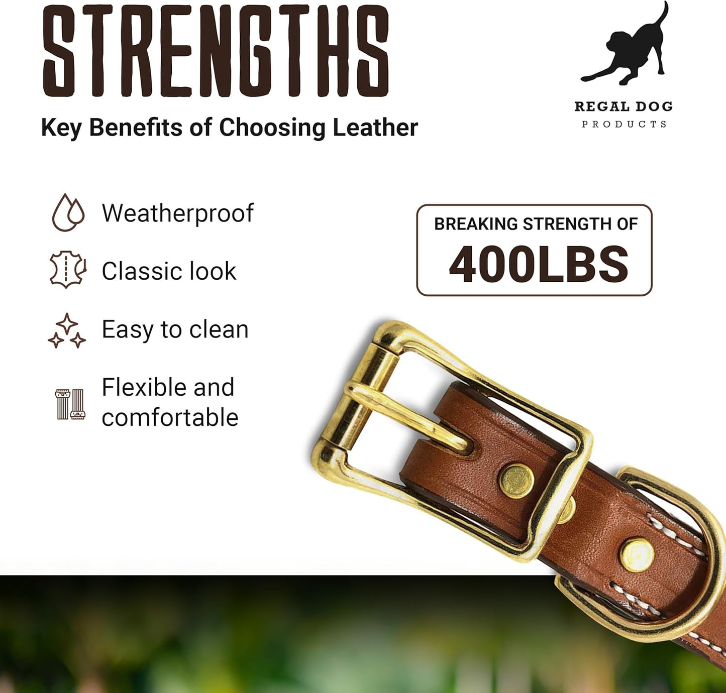 Regal Dog Products Genuine Leather Dog Collar with Personalized Engraved Nameplate with Brass Hardware