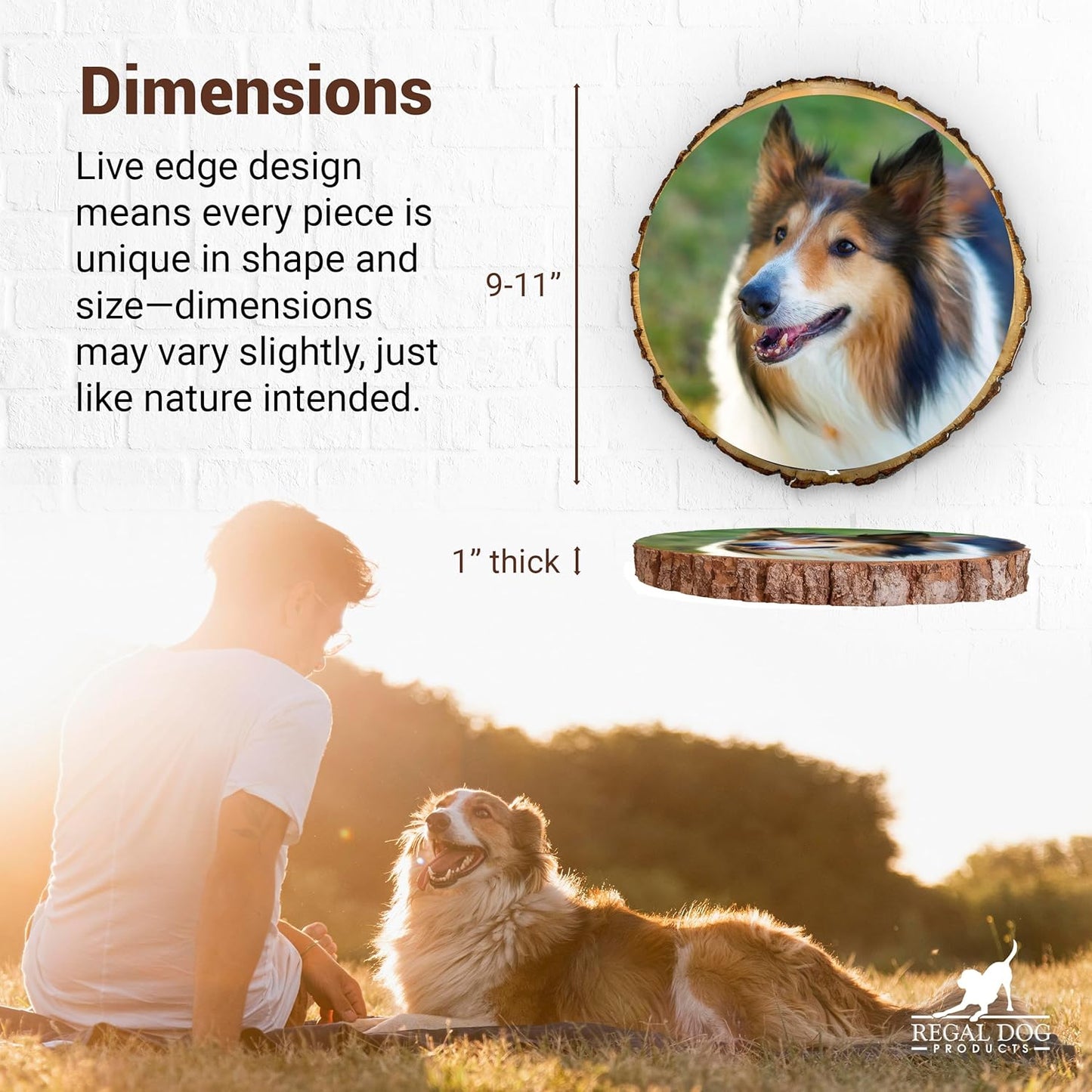 Regal Dog Products Personalized Pet Memorial Gifts for Dogs – Custom Photo Frame with Name & Dates – Thoughtful Dog Memorial, Loss of Dog Sympathy Gift, Remembrance Keepsake