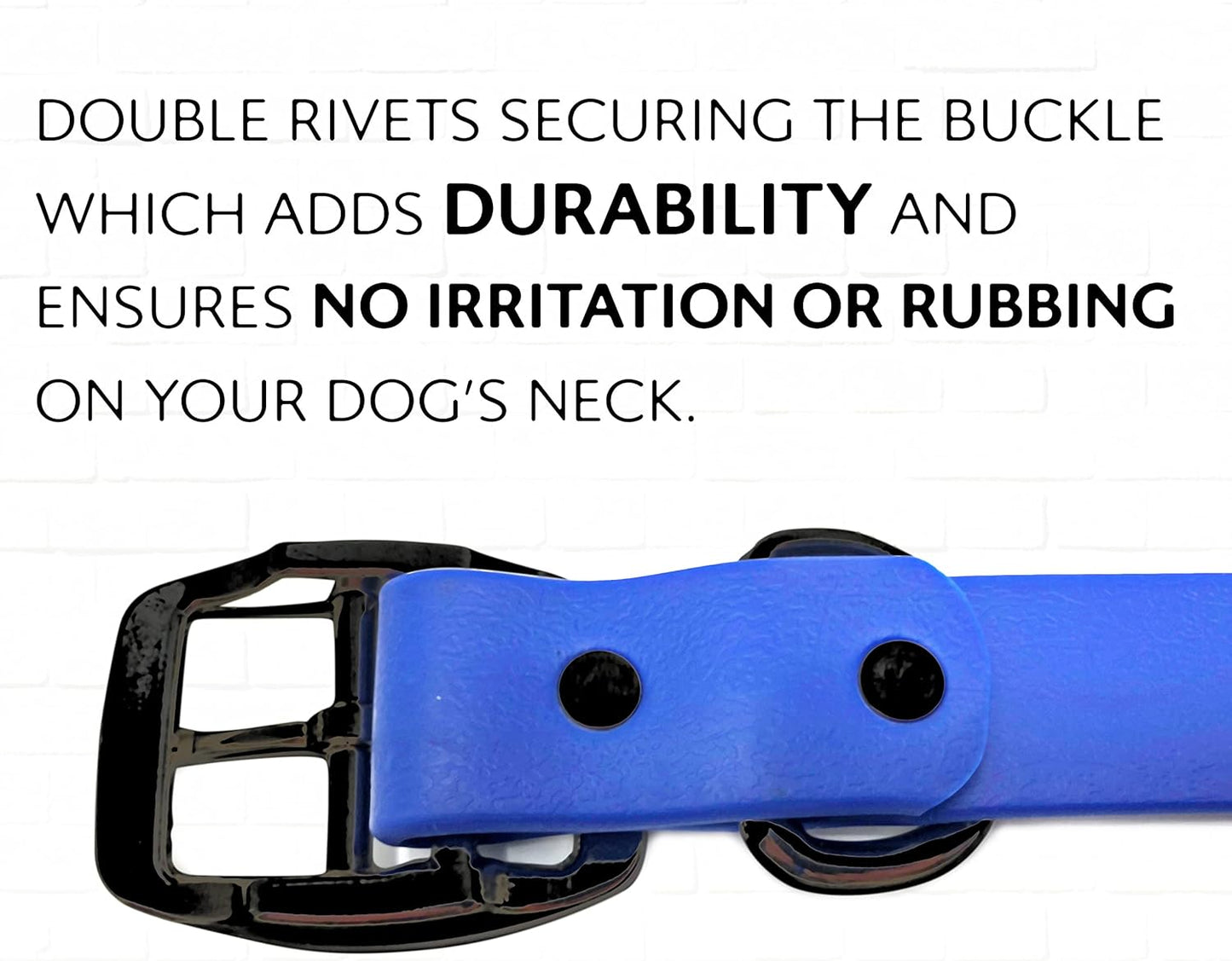Regal Dog Products Waterproof Standard Dog Collar with Black Hardware
