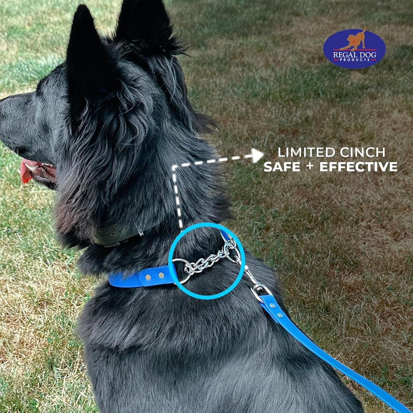 Regal Dog Products Waterproof Martingale Dog Collar –  With Chain