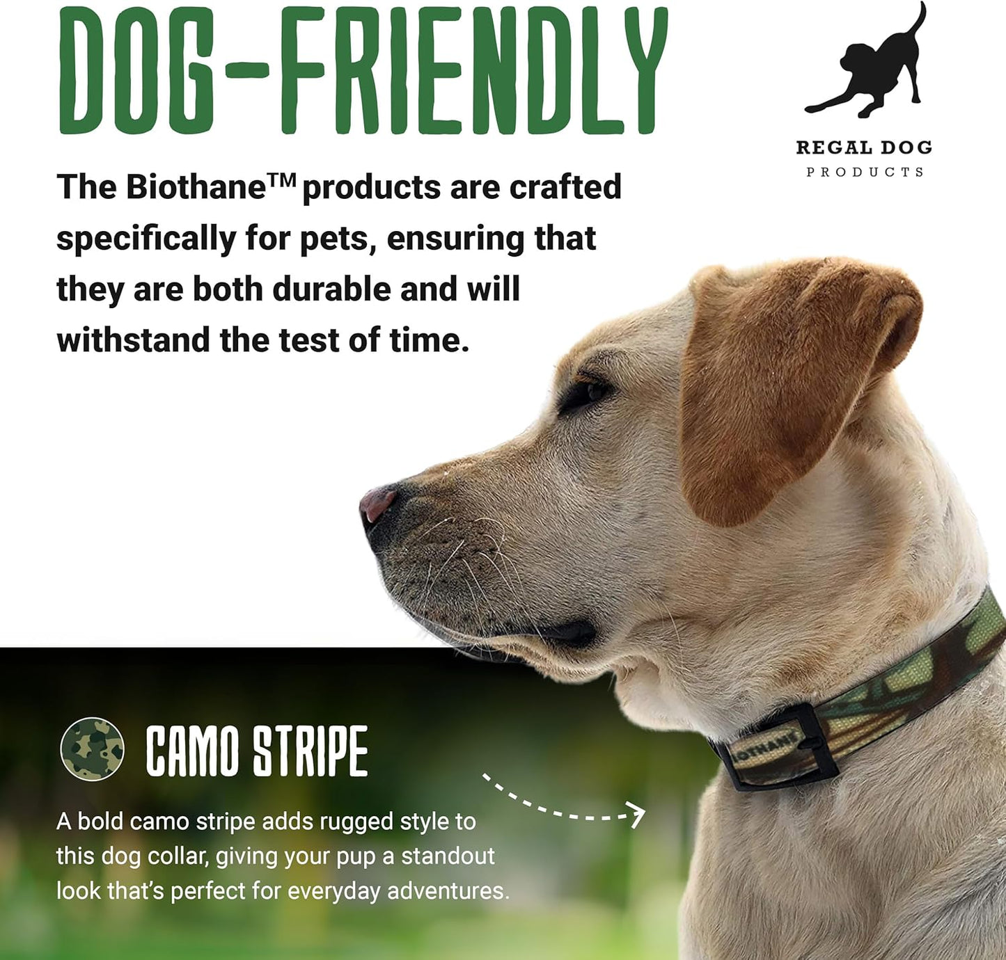 Regal Dog Products Waterproof Hunting Dog Collar –  With Heavy Duty Hardware