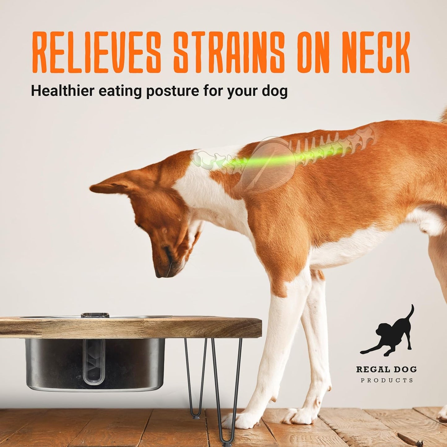 Elevated Dog Feeding Station with 9L Stainless Steel Water Fountain & 33oz Bowl