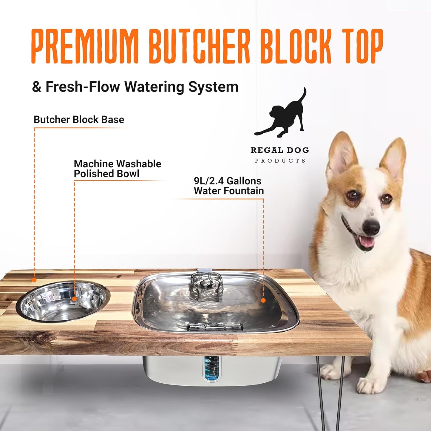 Elevated Dog Feeding Station with 9L Stainless Steel Water Fountain & 33oz Bowl