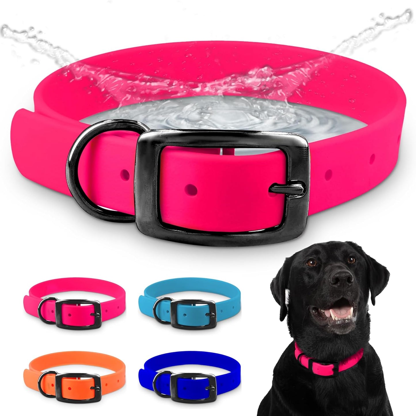 Regal Dog Products Waterproof Standard Dog Collar with Black Hardware