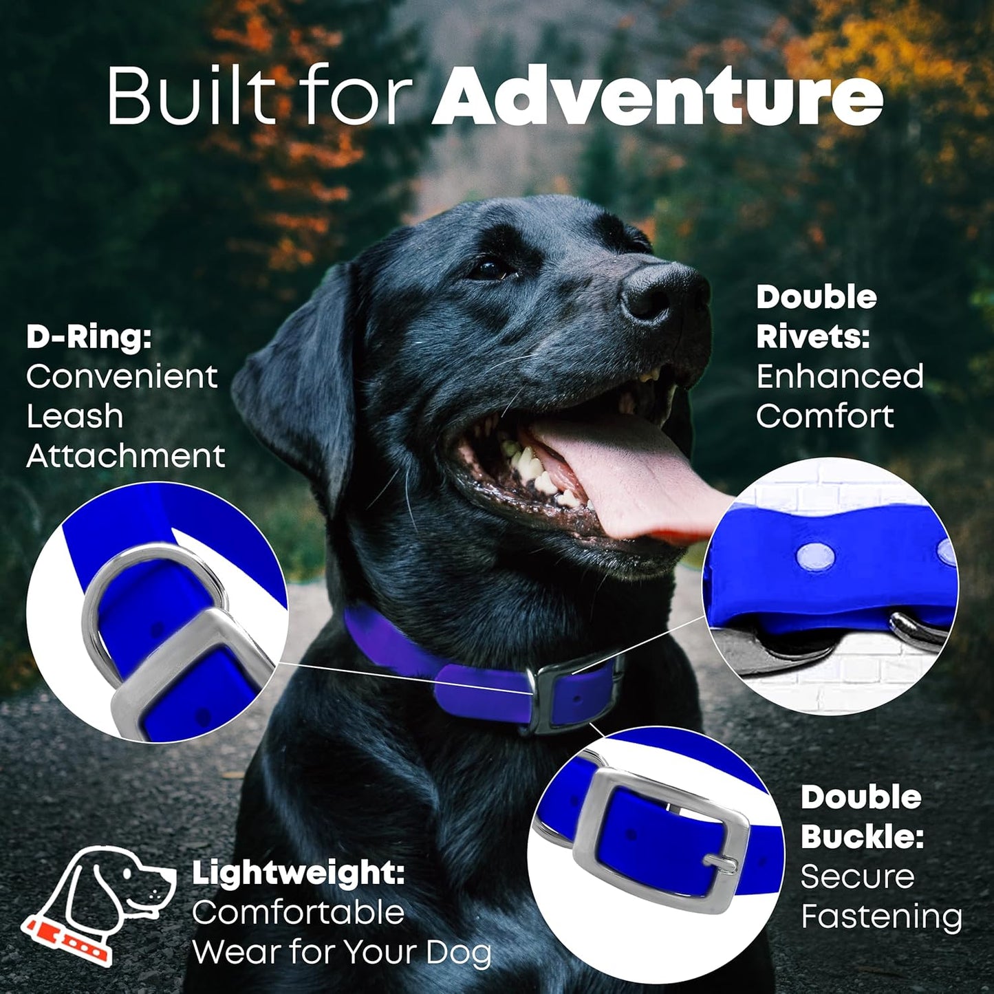 Regal Dog Products Waterproof Standard Dog Collar with Black Hardware
