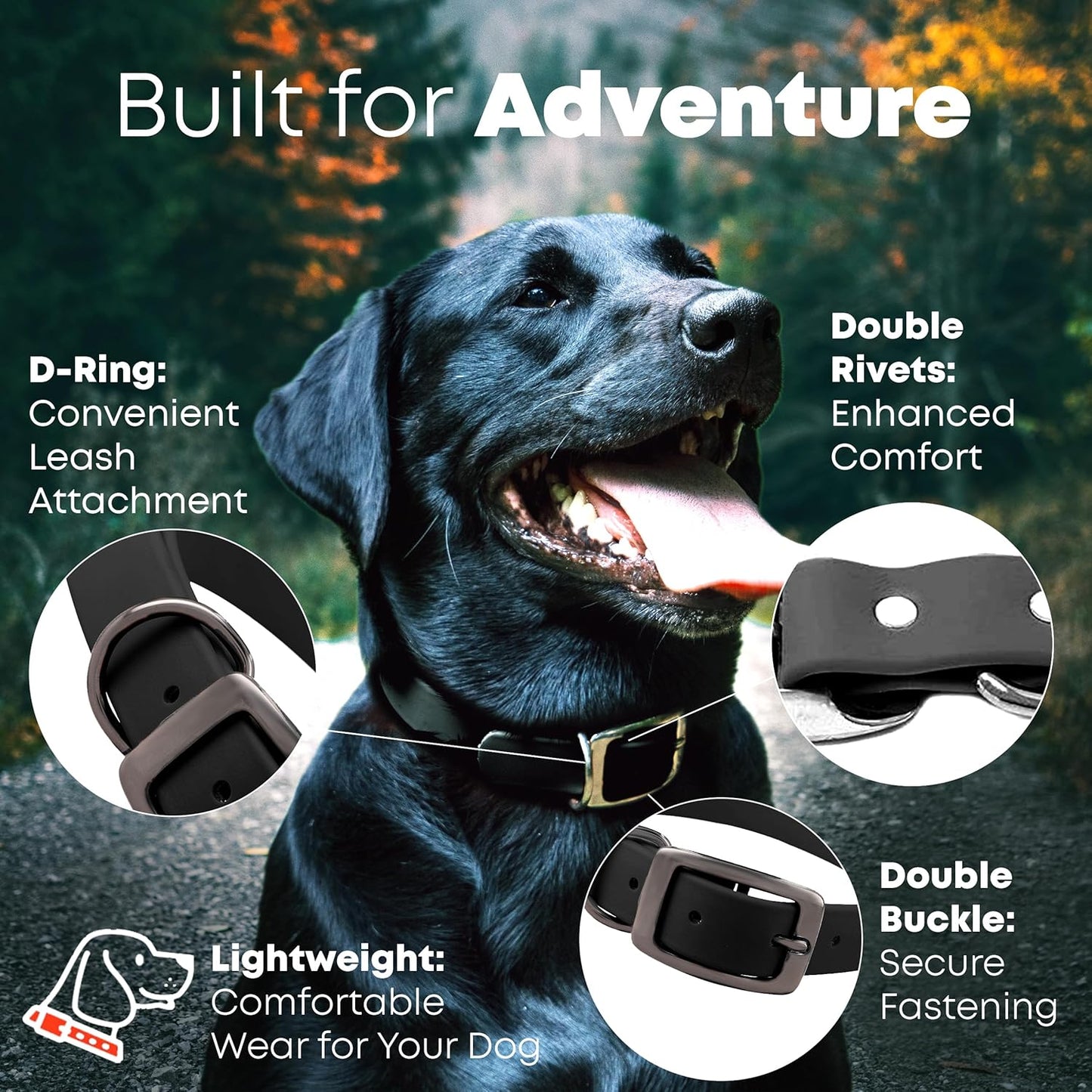 Regal Dog Products Waterproof Dog Collar with Gold Hardware