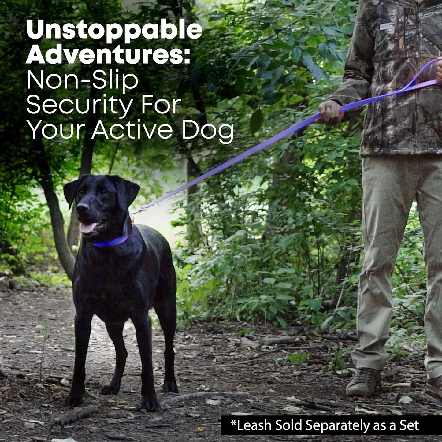 Regal Dog Products Waterproof Standard Dog Collar with Black Hardware