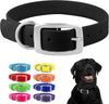Regal Dog Products Waterproof Dog Collar - Custom Fit Vinyl-Coated Webbing Water Resistant, Double Buckle and D Ring