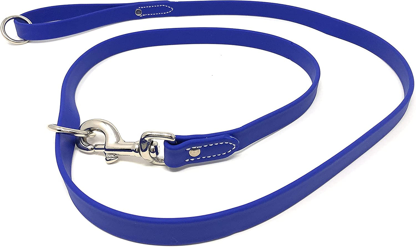 Regal Dog Products Waterproof Leash – 5 ft. Dog Leash with Vinyl-Coated Webbing