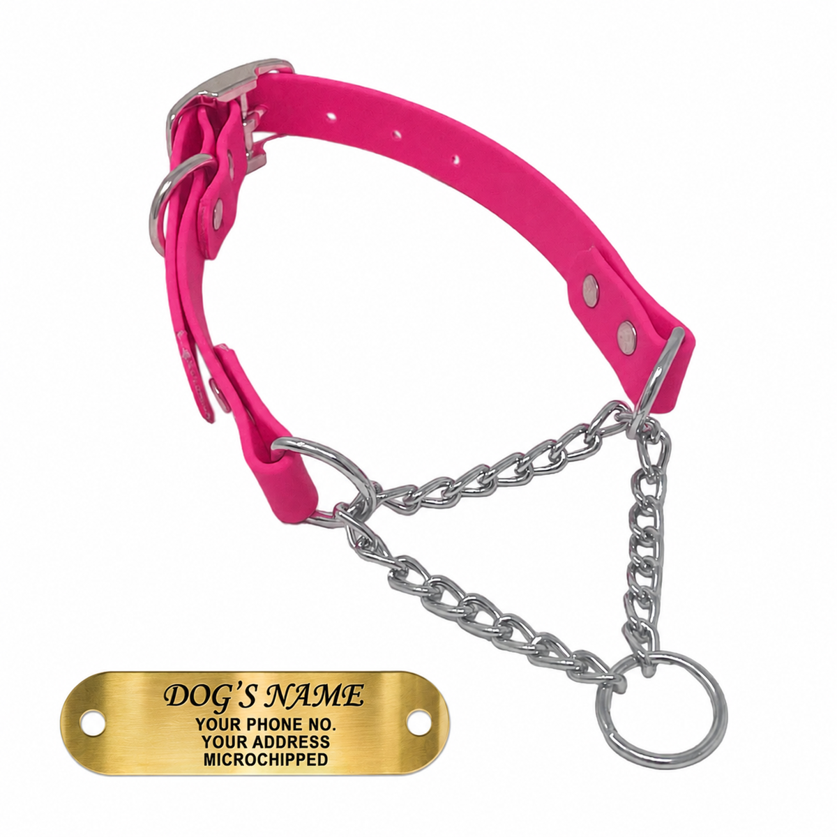 Regal Dog Products Personalized Martingale Dog Collar – Custom Engraved ID Tag