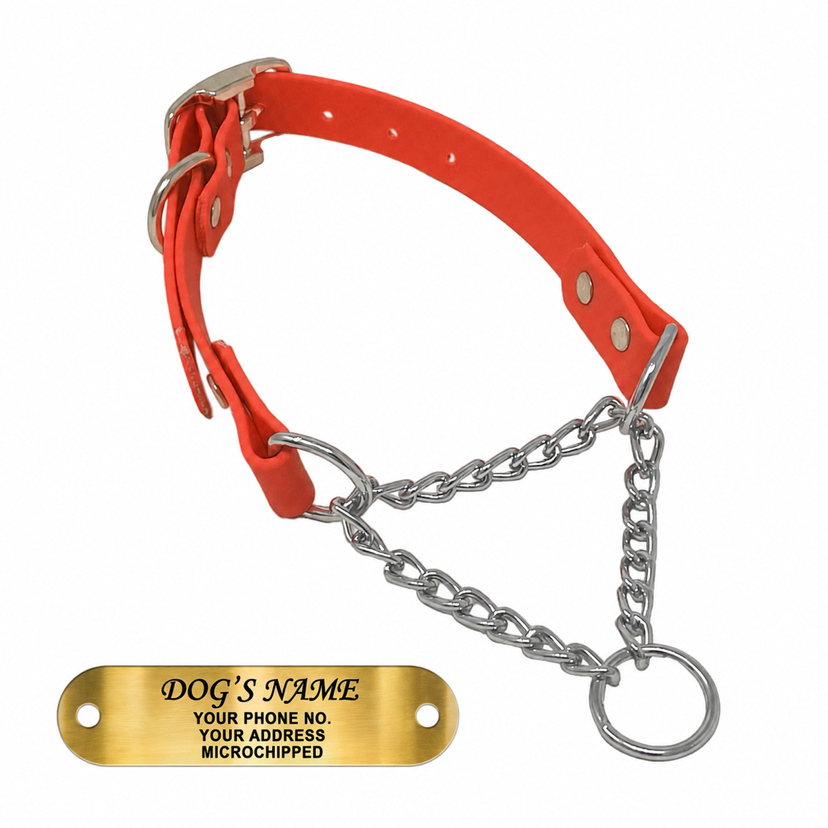 Regal Dog Products Personalized Martingale Dog Collar – Custom Engraved ID Tag