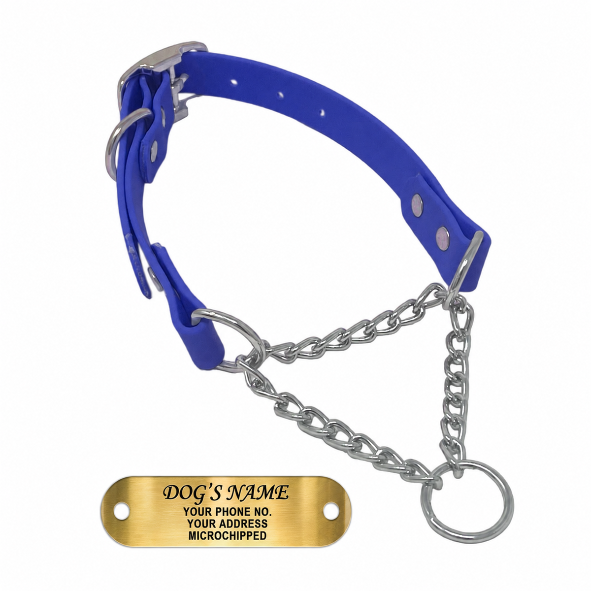 Regal Dog Products Personalized Martingale Dog Collar – Custom Engraved ID Tag