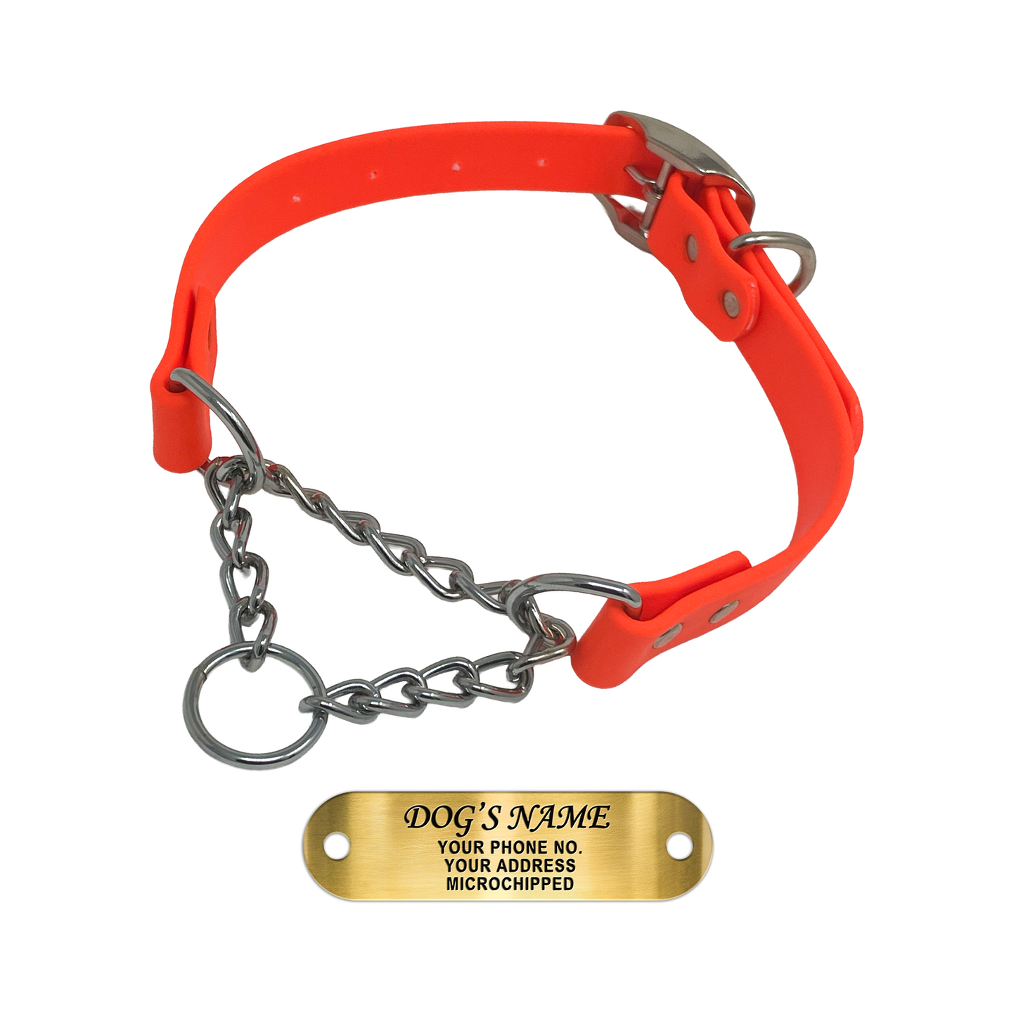 Regal Dog Products Personalized Martingale Dog Collar – Custom Engraved ID Tag