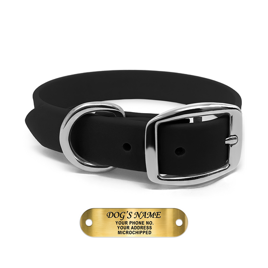Regal Dog Products Waterproof Dog Collars with Custom Engraved Name Plate