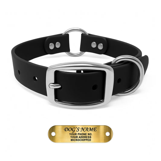 Regal Dog Products Personalized Dog Collar with Custom Engraved Name Plate - with Double Buckle & Center Ring