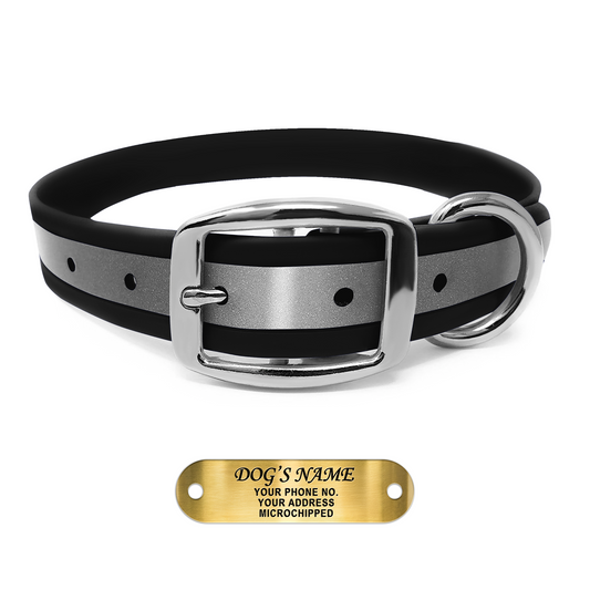 Regal Dog Products Reflective Dog Collar with Custom Engraved Name Plate with D Ring & Double Buckle