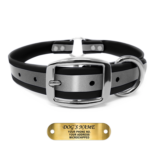 Regal Dog Products Reflective Dog Collar with Custom Engraved Name Plate and Heavy Duty Center Ring