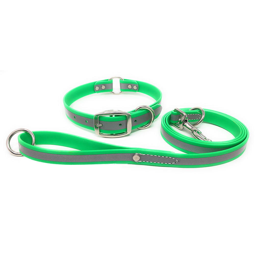 Regal Dog Products Reflective Waterproof Dog Collar and Leash Set
