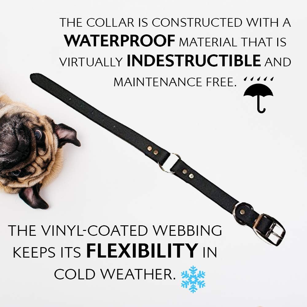 Regal Dog Products Waterproof Dog Collar and Leash Set – 5 FT Leash with Heavy Duty Center Ring & Vinyl Coated Biothane Training Collar