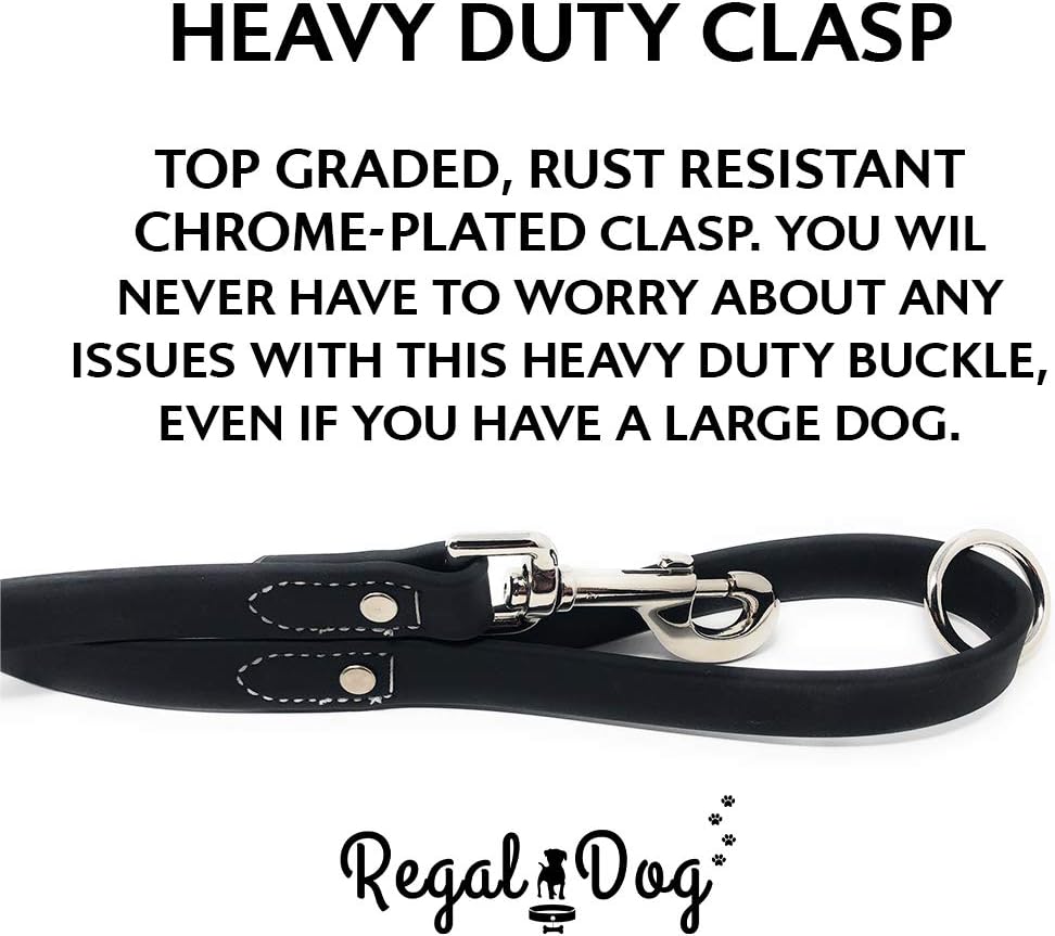 Regal Dog Products Waterproof Dog Collar and Leash Set – 5 FT Leash with Heavy Duty Center Ring & Vinyl Coated Biothane Training Collar