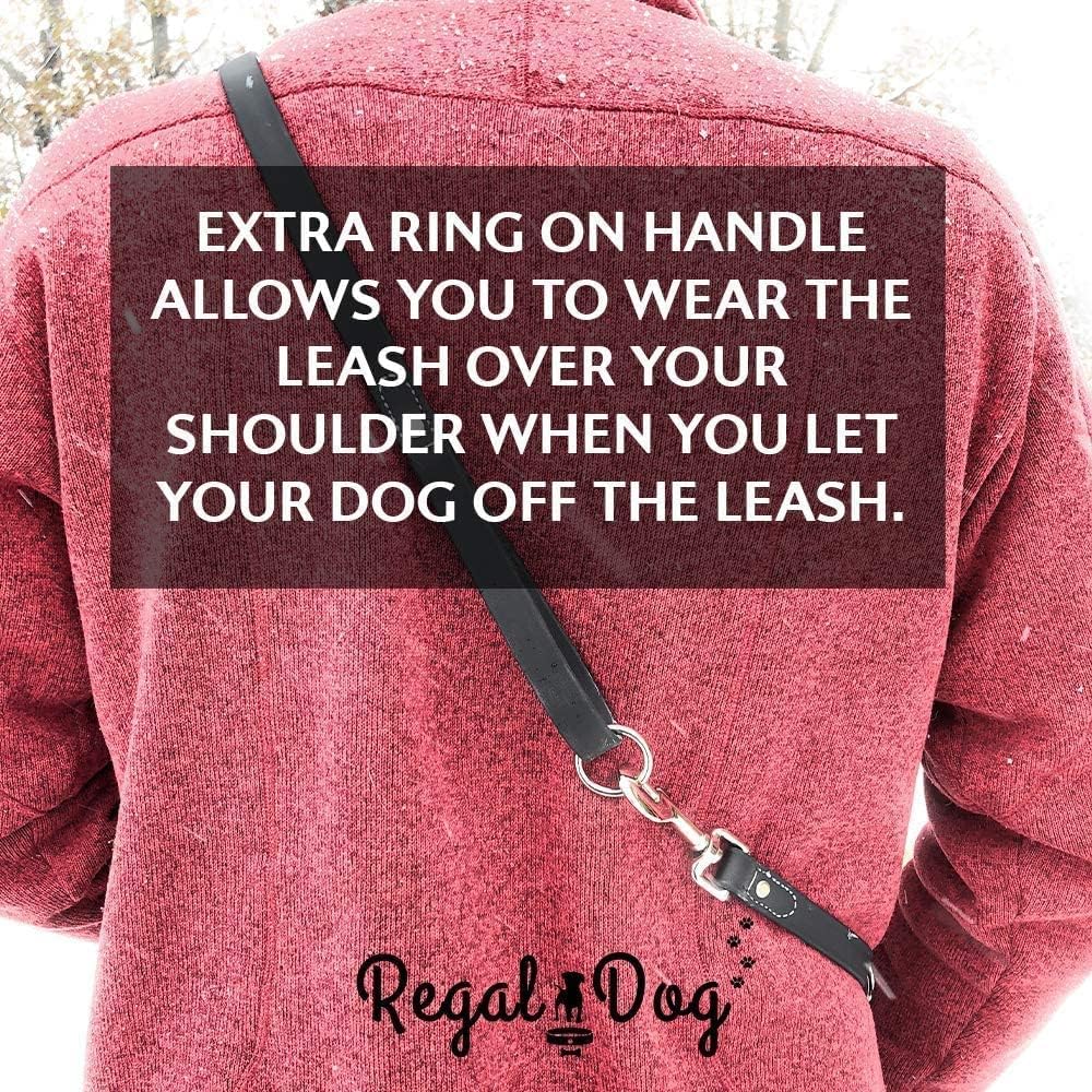 Regal Dog Products Waterproof Dog Collar and Leash Set – 5 FT Leash with Heavy Duty Center Ring & Vinyl Coated Biothane Training Collar