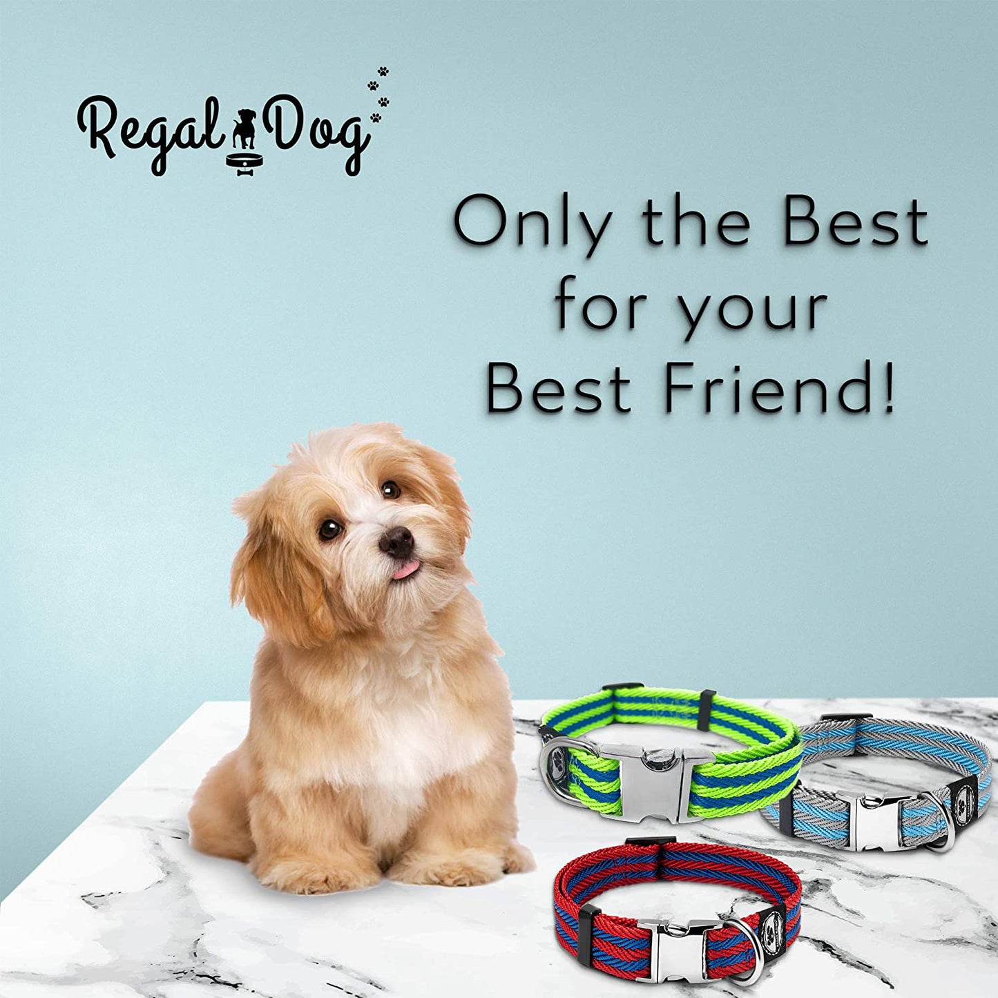 Twill Waved Dog Collar Stainless Steel Hardware