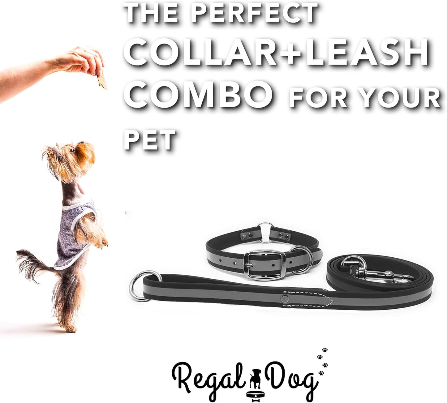 Regal Dog Products Reflective Waterproof Dog Collar and Leash Set