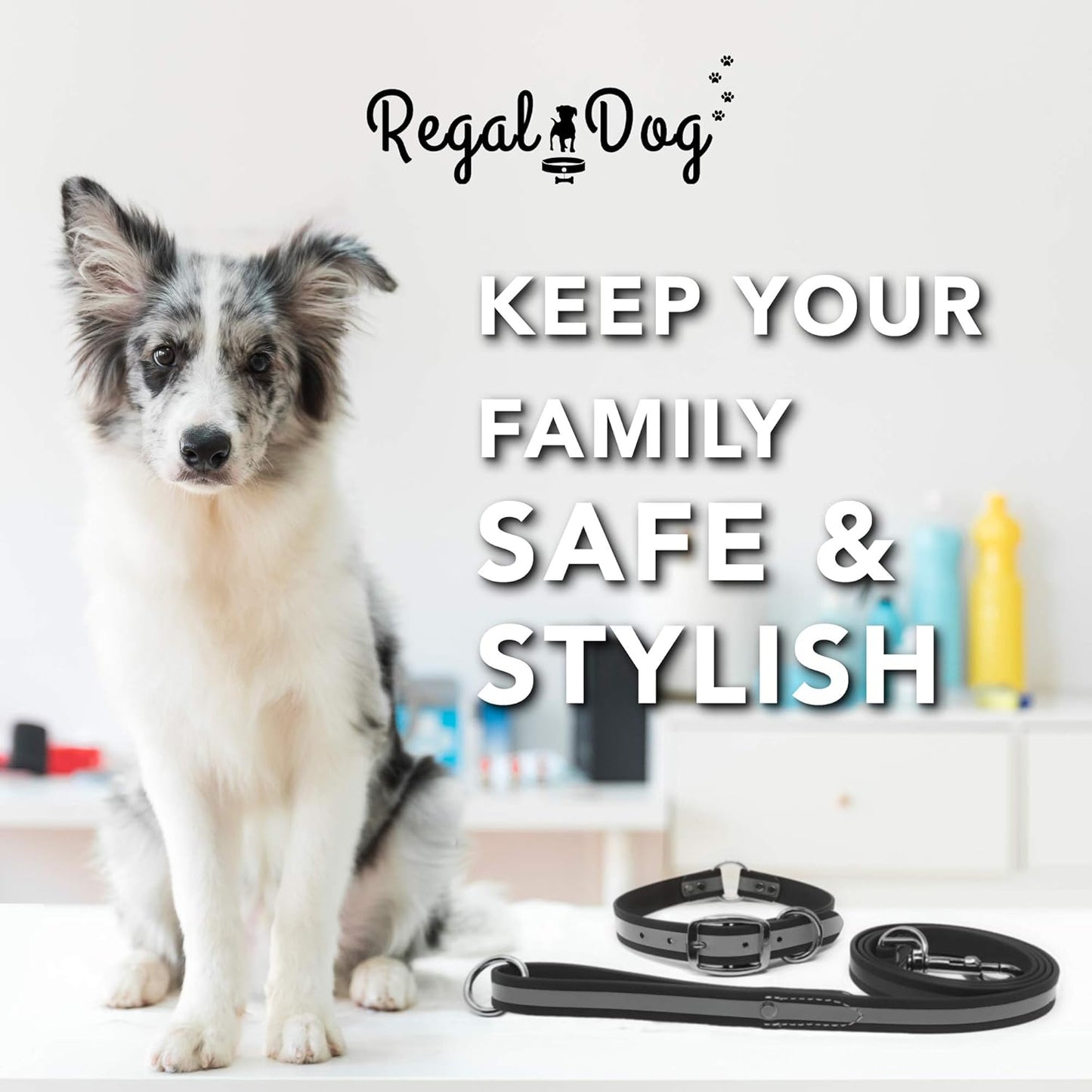 Regal Dog Products Reflective Waterproof Dog Collar and Leash Set