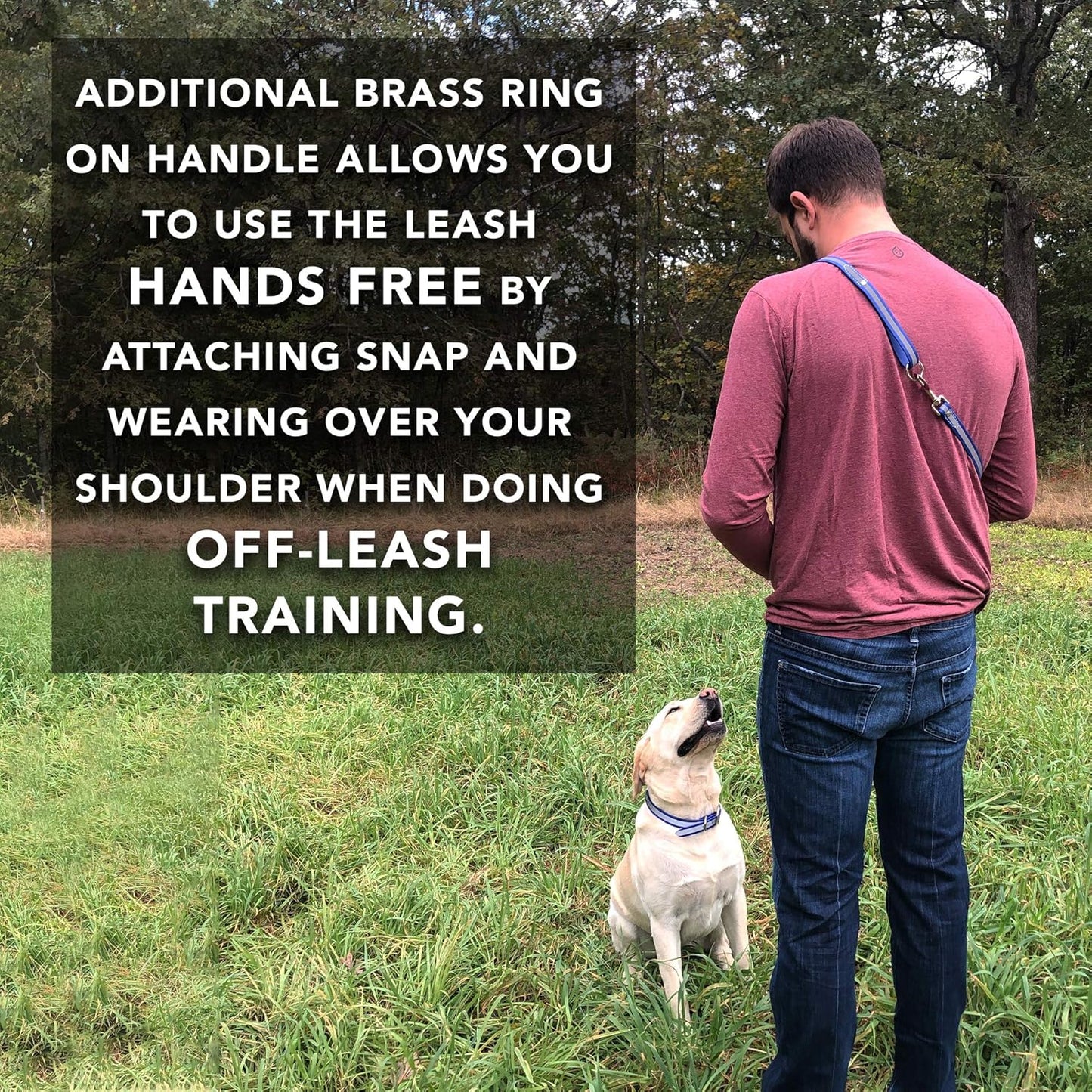 Regal Dog Products Reflective Waterproof Dog Collar and Leash Set