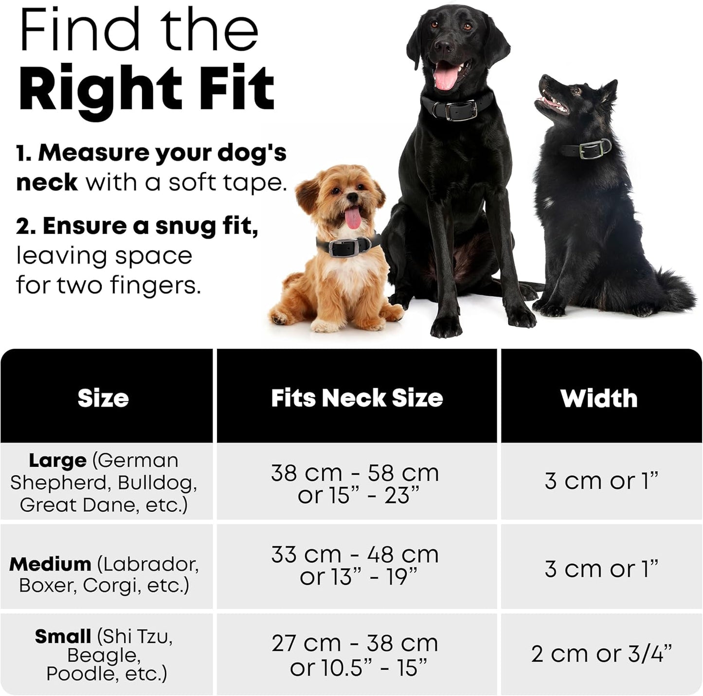 Regal Dog Products Waterproof Dog Collar - Custom Fit Vinyl-Coated Webbing Water Resistant, Double Buckle and D Ring