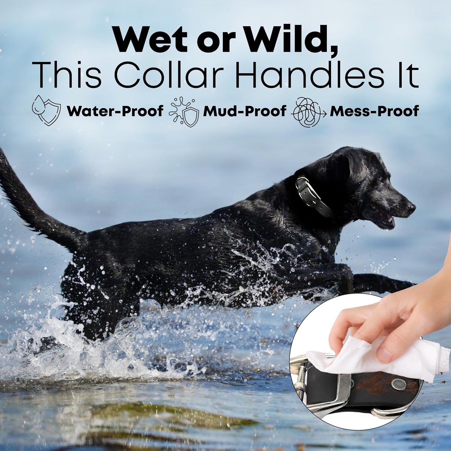 Regal Dog Products Waterproof Dog Collar - Custom Fit Vinyl-Coated Webbing Water Resistant, Double Buckle and D Ring