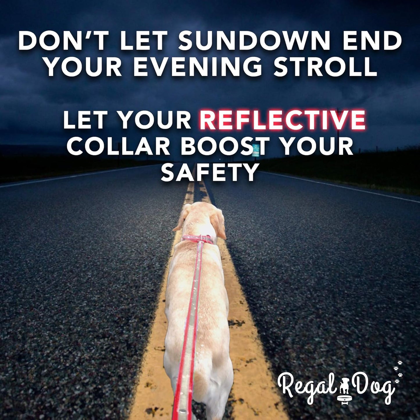 Regal Dog Products Heavy Duty Reflective Dog Collar for Small, Medium and Large Dogs