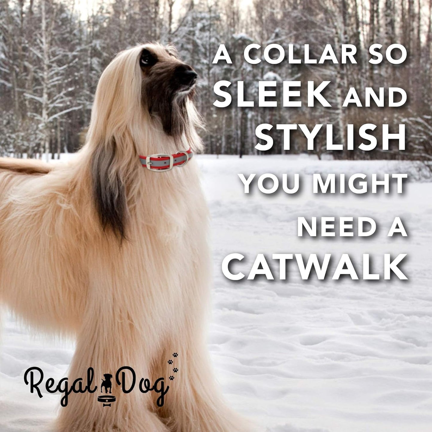 Regal Dog Products Heavy Duty Reflective Dog Collar – Adjustable Dog Collar with Durable Metal Buckle and Center Ring for Small Medium and Large Dogs