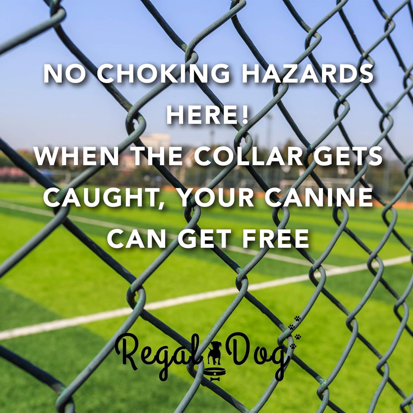 Regal Dog Products Heavy Duty Reflective Dog Collar – Adjustable Dog Collar with Durable Metal Buckle and Center Ring for Small Medium and Large Dogs