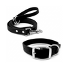 Regal Dog Products Waterproof Dog Collar and Leash Set – 5 FT Leash with Heavy Duty Double Buckle & D Ring