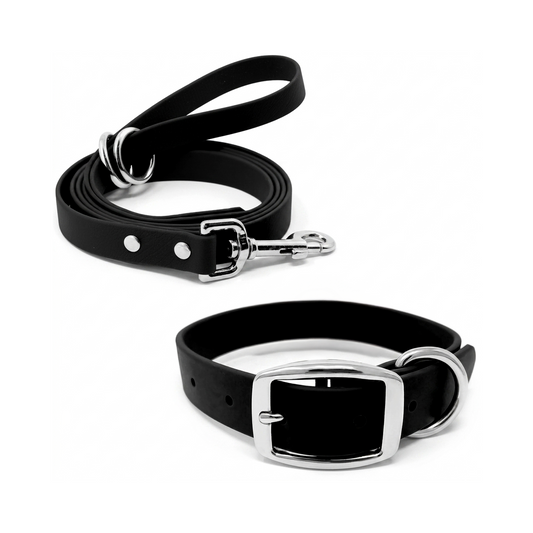 Regal Dog Products Waterproof Dog Collar and Leash Set – 5 FT Leash with Heavy Duty Double Buckle & D Ring
