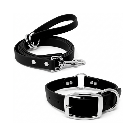 Regal Dog Products Waterproof Dog Collar and Leash Set – 5 FT Leash with Heavy Duty Center Ring & Vinyl Coated Biothane Training Collar