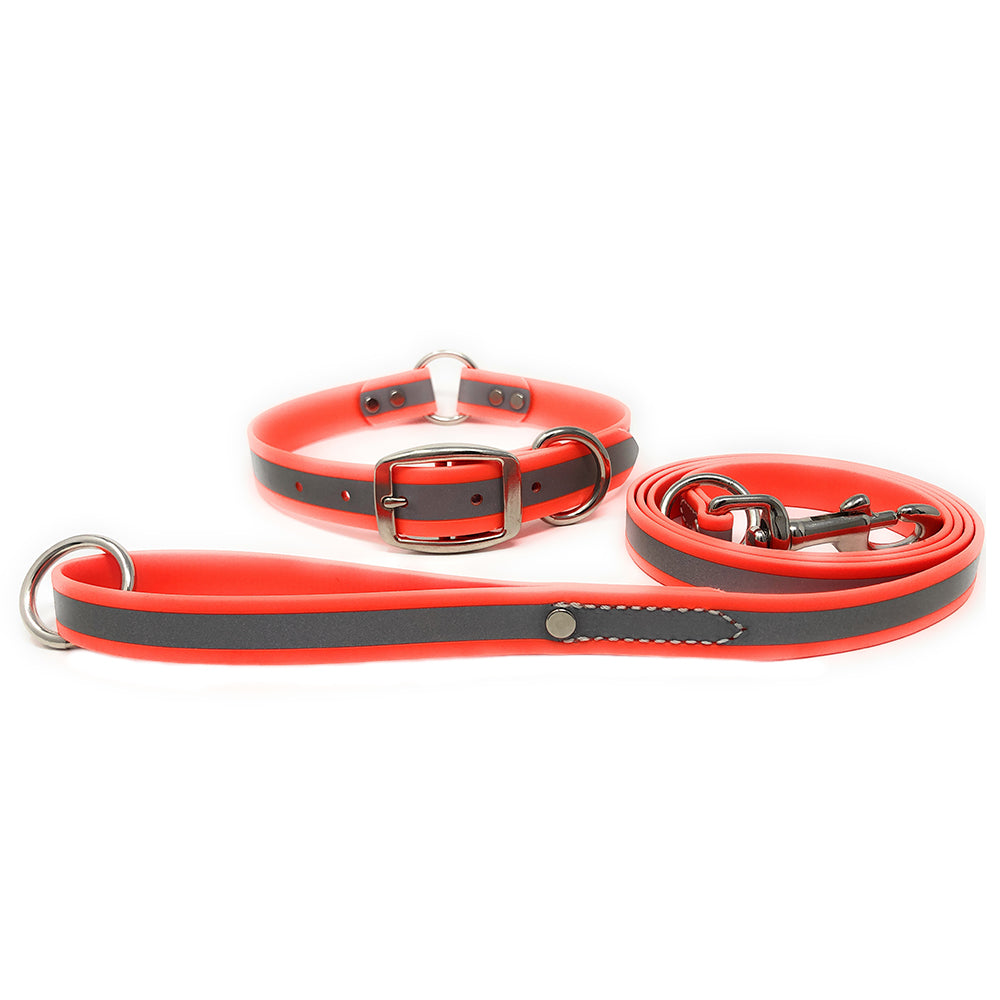 Regal Dog Products Reflective Waterproof Dog Collar and Leash Set