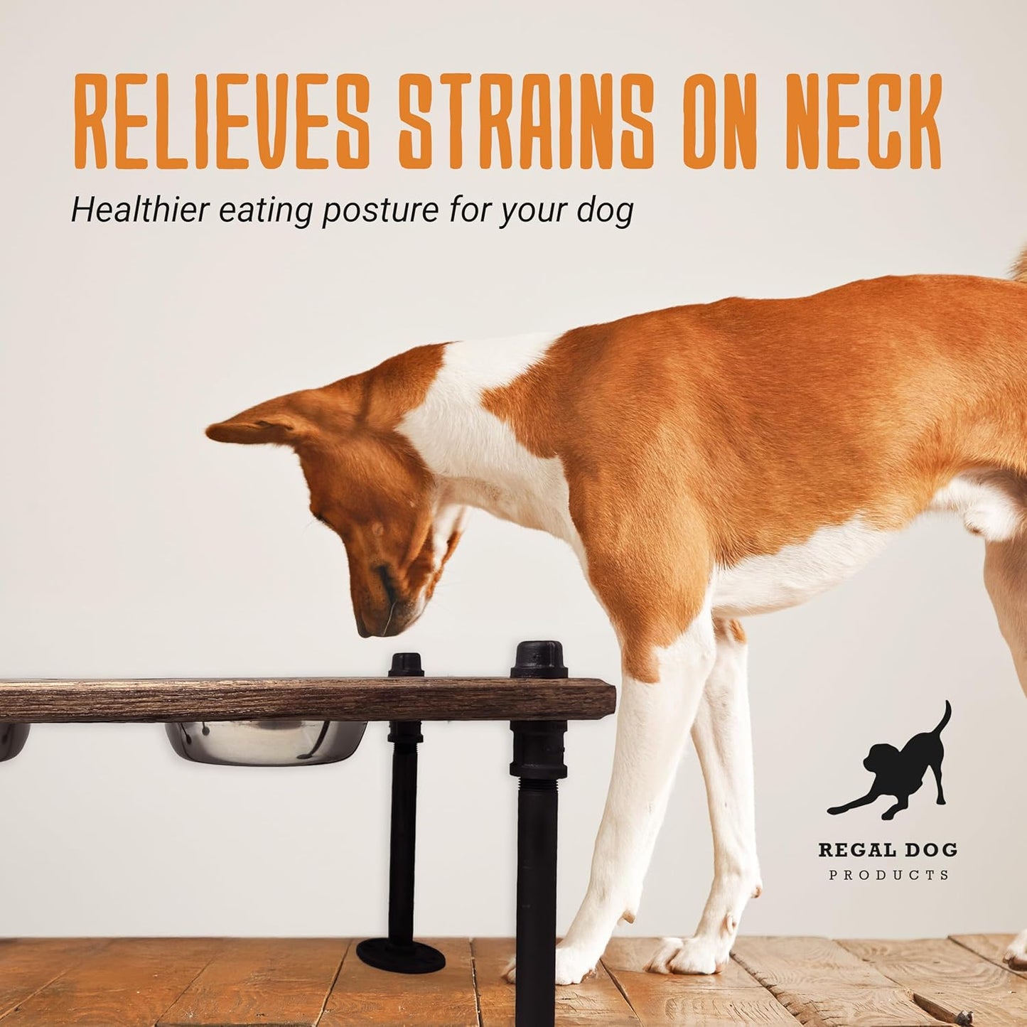 Elevated Dog Bowl Stand with Stainless Steel Bowls | Industrial Pipe Legs