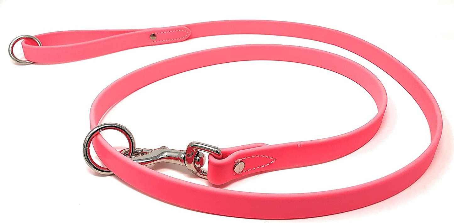 Regal Dog Products Waterproof Leash – 5 ft. Dog Leash with Vinyl-Coated Webbing