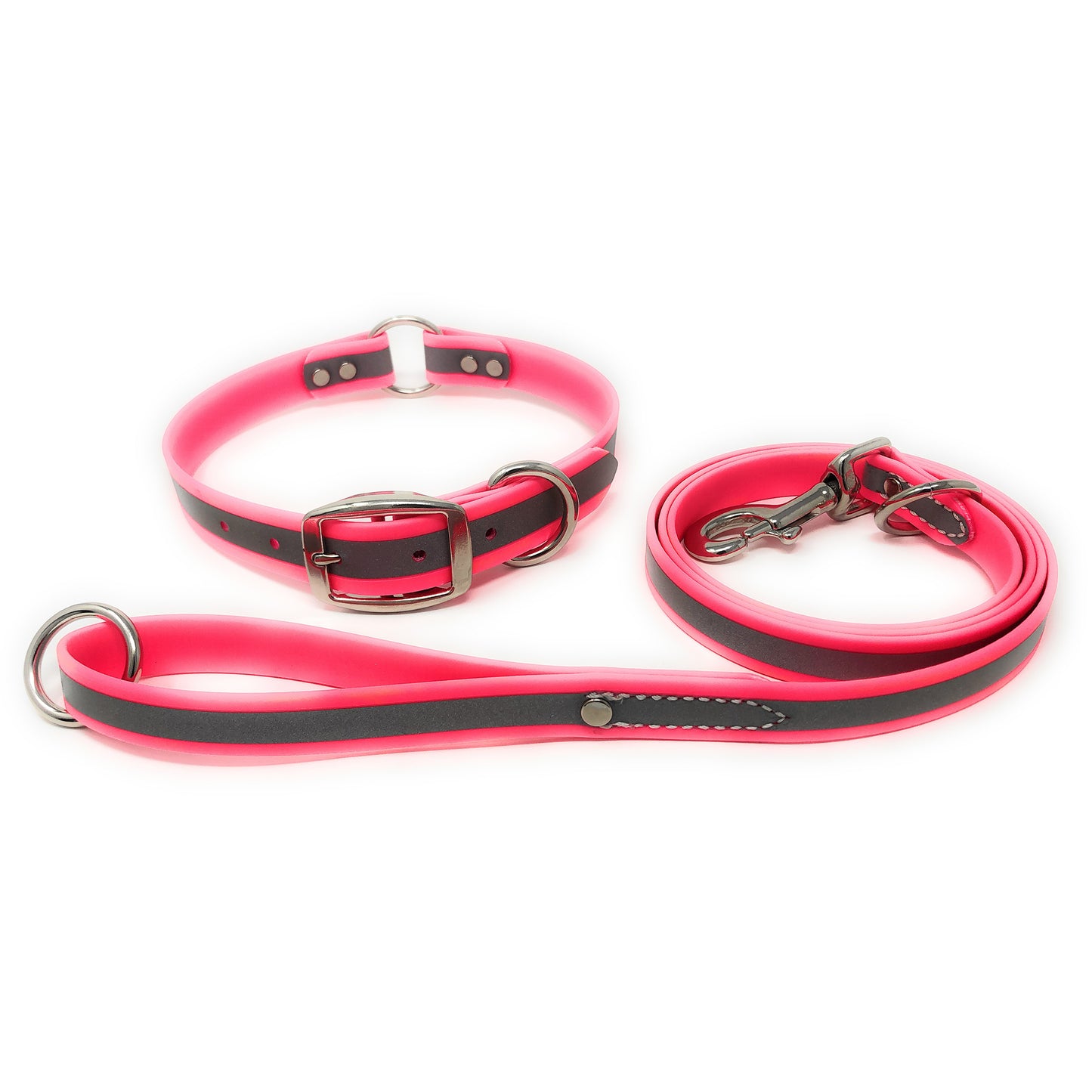 Regal Dog Products Reflective Waterproof Dog Collar and Leash Set