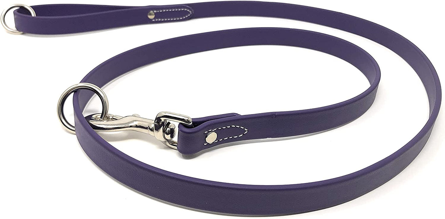 Regal Dog Products Waterproof Leash – 5 ft. Dog Leash with Vinyl-Coated Webbing