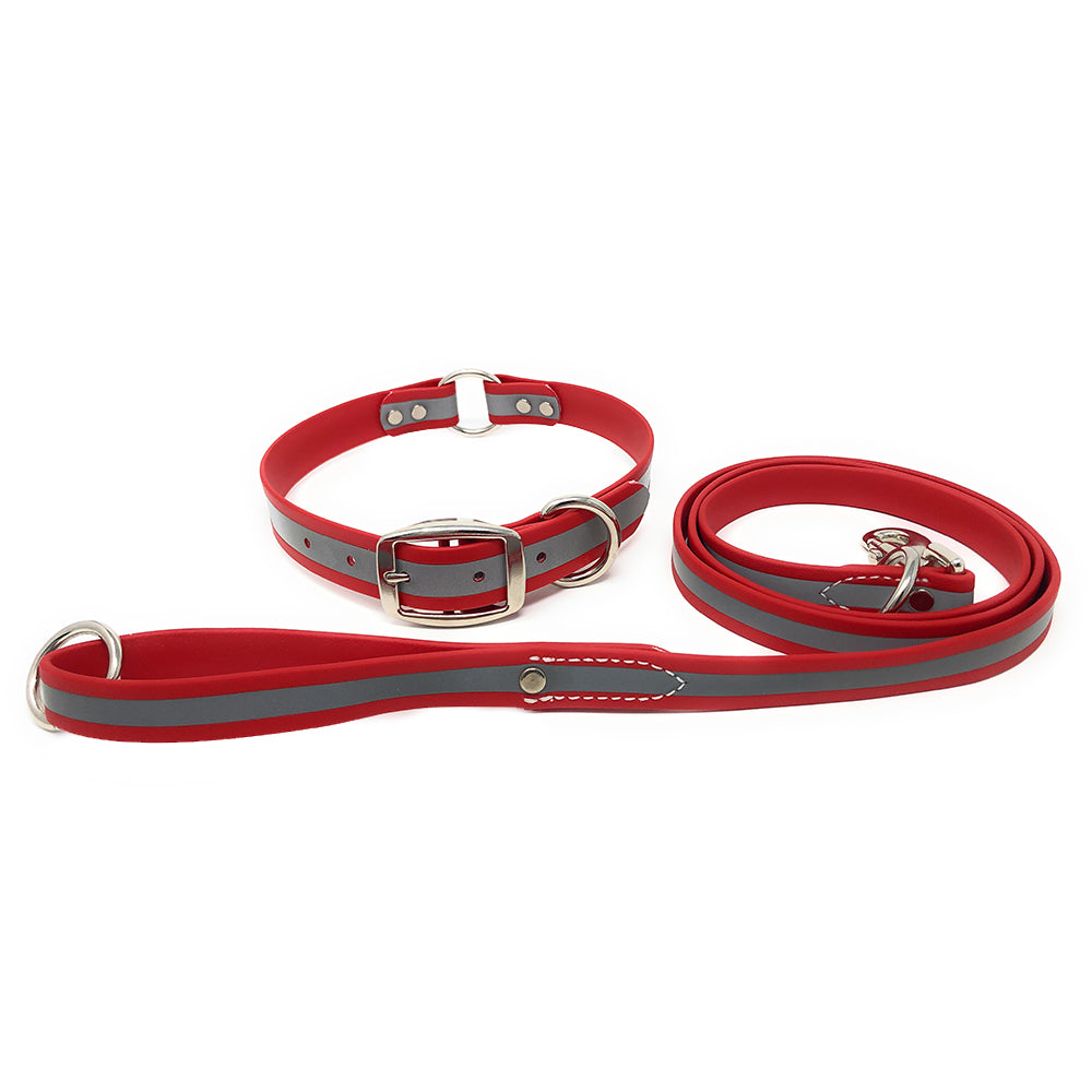 Regal Dog Products Reflective Waterproof Dog Collar and Leash Set