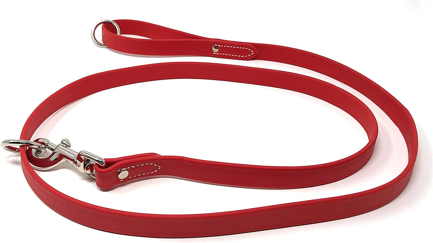 Regal Dog Products Waterproof Leash – 5 ft. Dog Leash with Vinyl-Coated Webbing