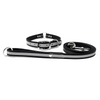 Regal Dog Products Reflective Waterproof Dog Collar and Leash Set