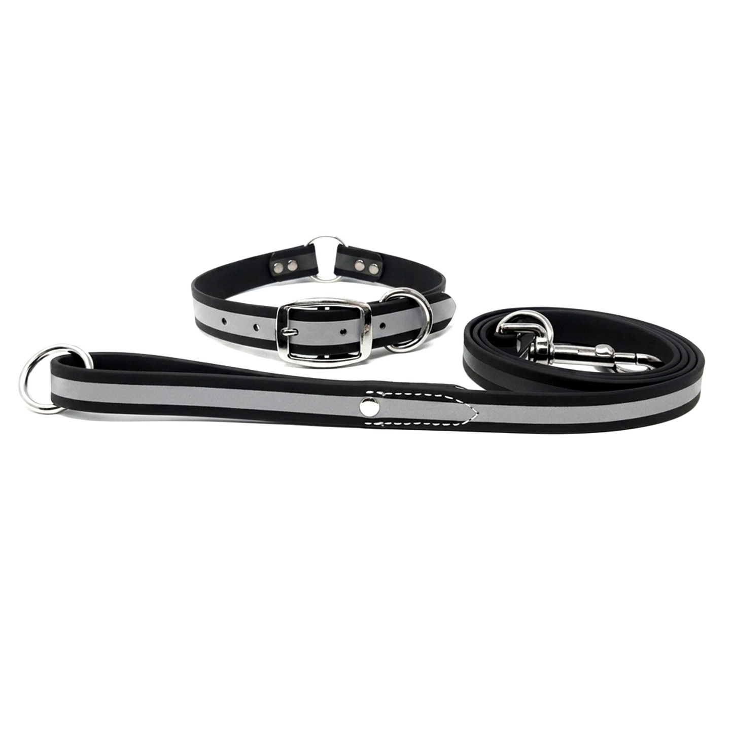 Regal Dog Products Reflective Waterproof Dog Collar and Leash Set