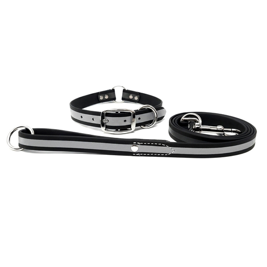 Regal Dog Products Reflective Waterproof Dog Collar and Leash Set