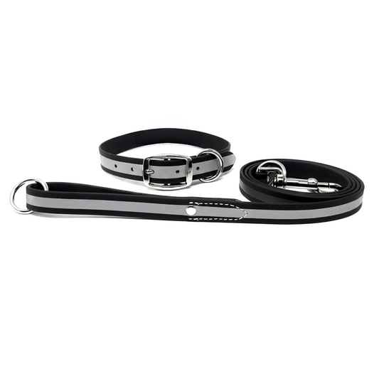 Regal Dog Products Heavy Duty Reflective Dog Collar for Small, Medium and Large Dogs